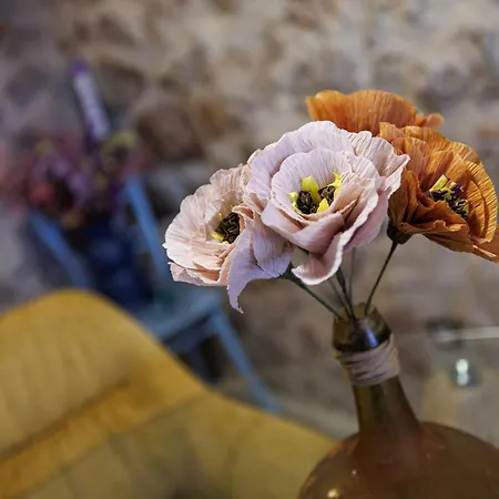 Vela Volta Hébergement de vacances *