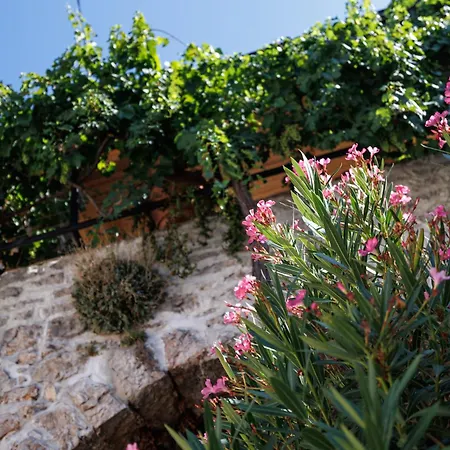 Vela Volta Hébergement de vacances Vrbnik (Primorje-Gorski Kotar)