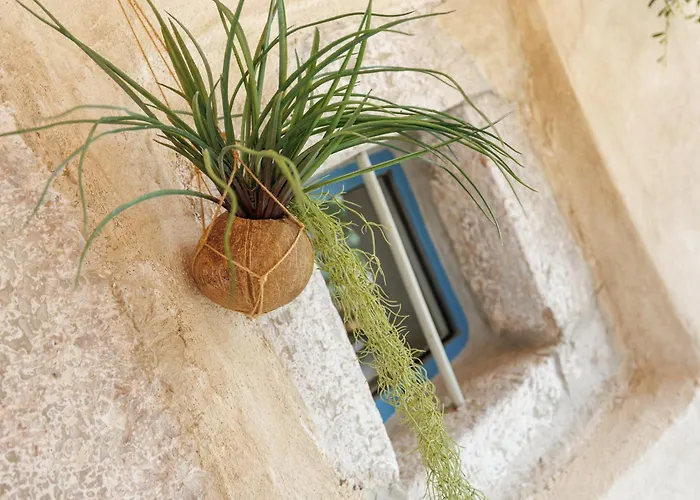 Vela Volta * Vrbnik (Primorje-Gorski Kotar)